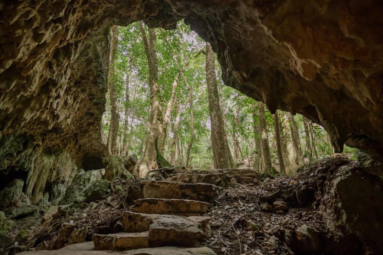 Naum - Secluded Villa With Private Cenote ตูลุม ภายนอก รูปภาพ