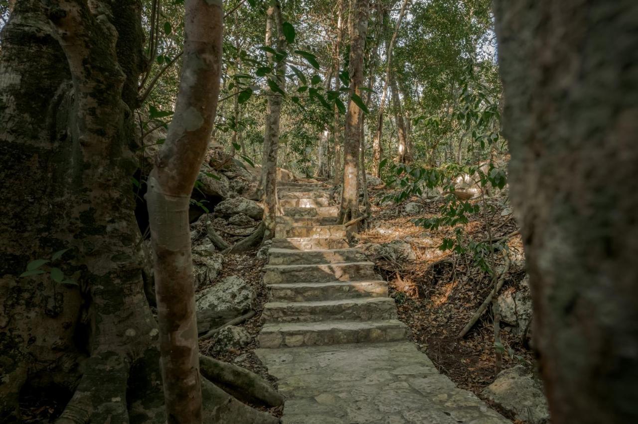 Naum - Secluded Villa With Private Cenote ตูลุม ภายนอก รูปภาพ