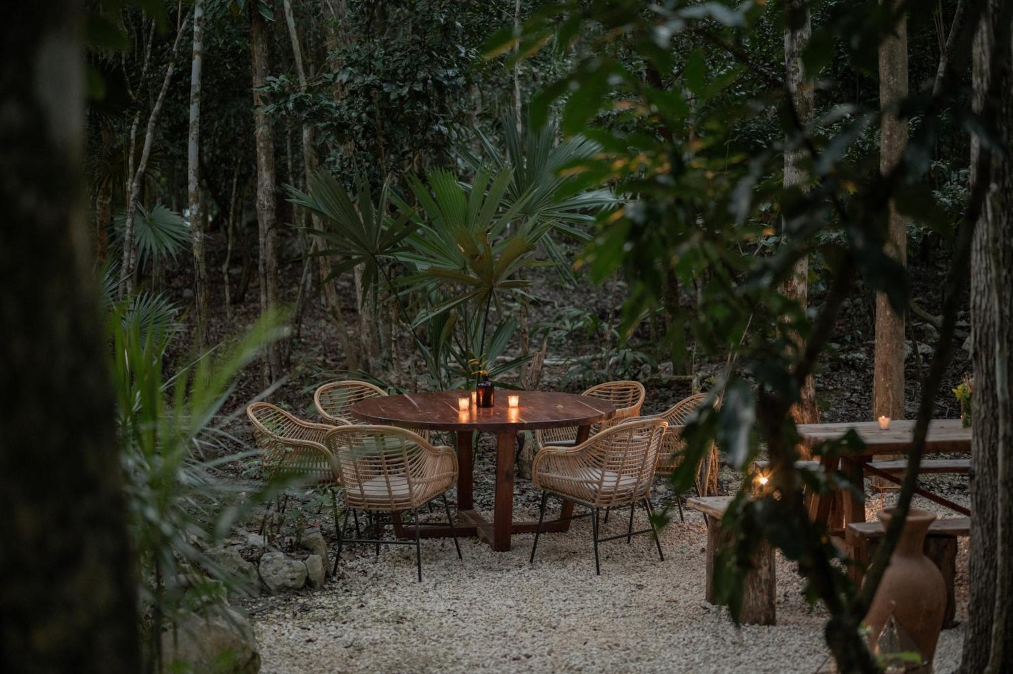 Naum - Secluded Villa With Private Cenote ตูลุม ภายนอก รูปภาพ