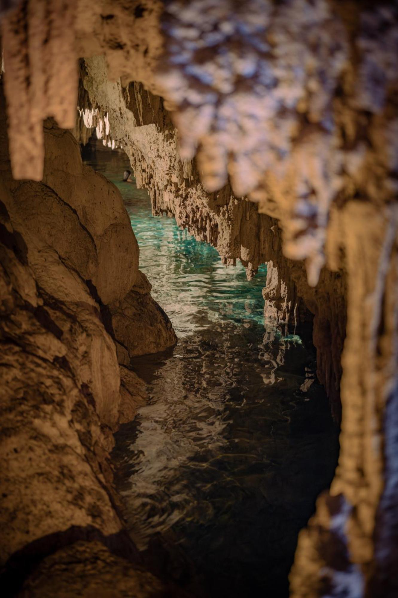 Naum - Secluded Villa With Private Cenote ตูลุม ภายนอก รูปภาพ