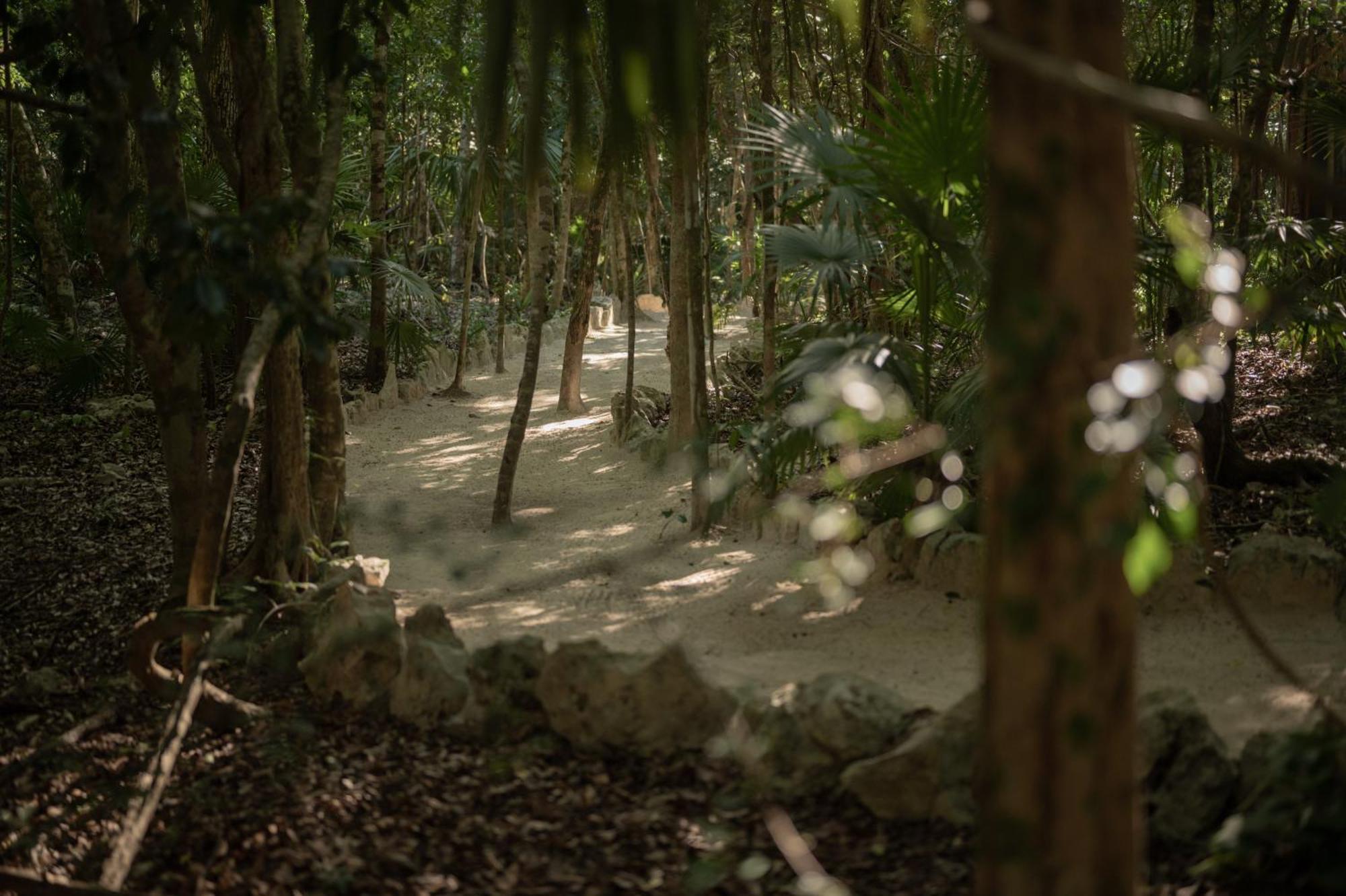 Naum - Secluded Villa With Private Cenote ตูลุม ภายนอก รูปภาพ