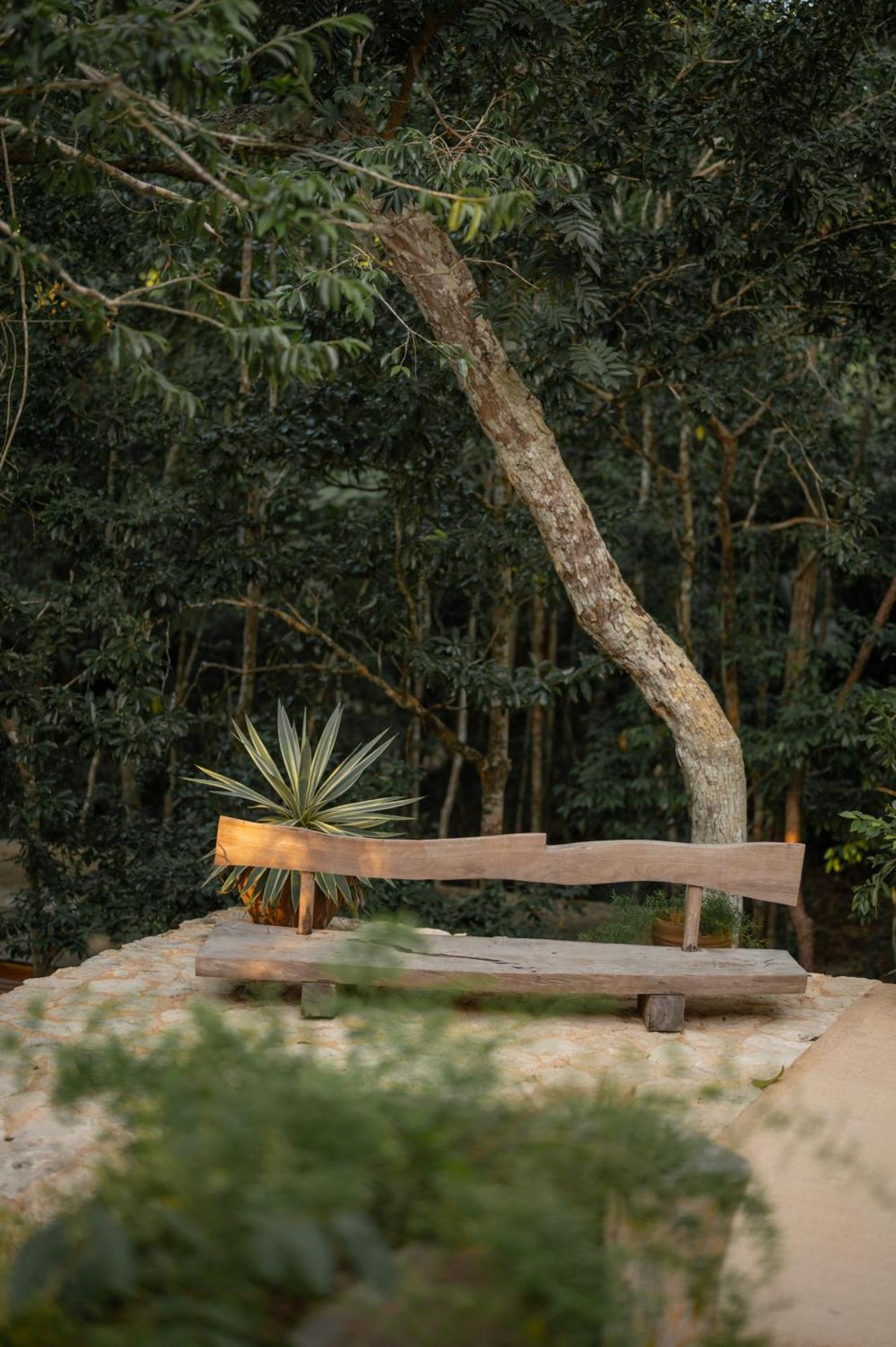 Naum - Secluded Villa With Private Cenote ตูลุม ภายนอก รูปภาพ